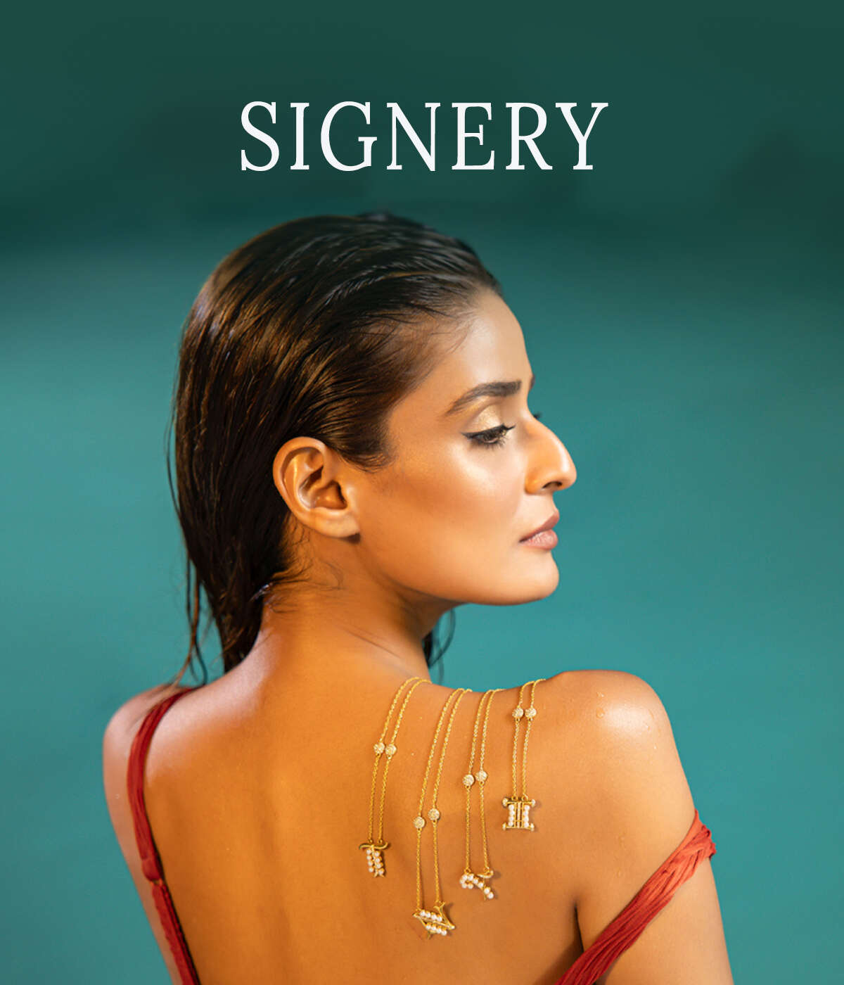 Signery Collection