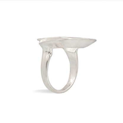 Fabish- Spiral Ring.